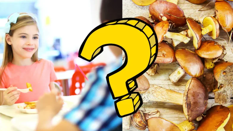 Can Kids Eat Mushroom Chocolate? (Parents’ Guide)